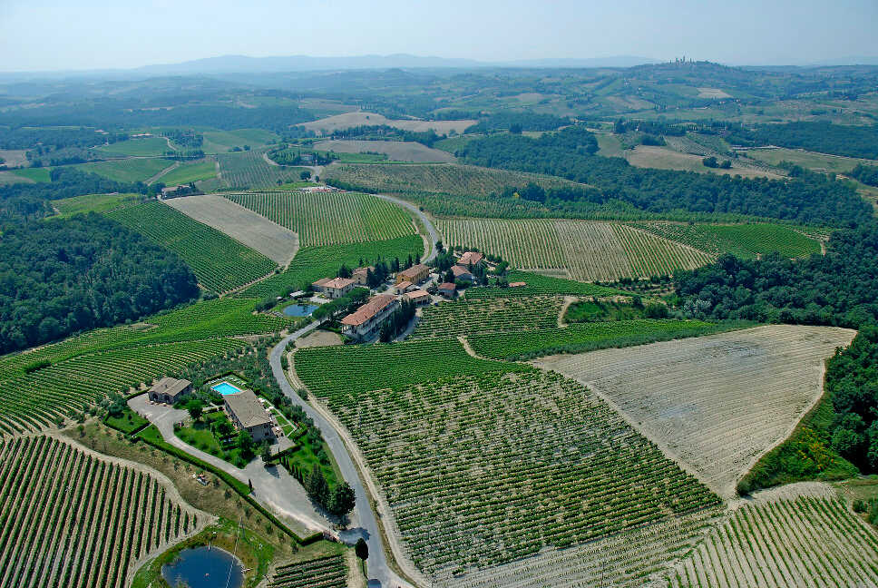 Vigneto Chianti e Vernaccia